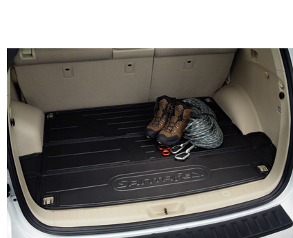 FLOOR MATS, CARPETED