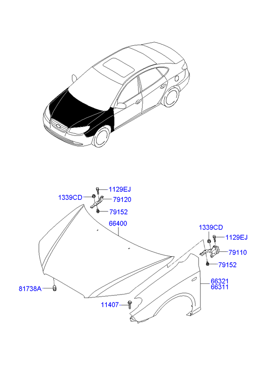 PANEL - REAR DOOR