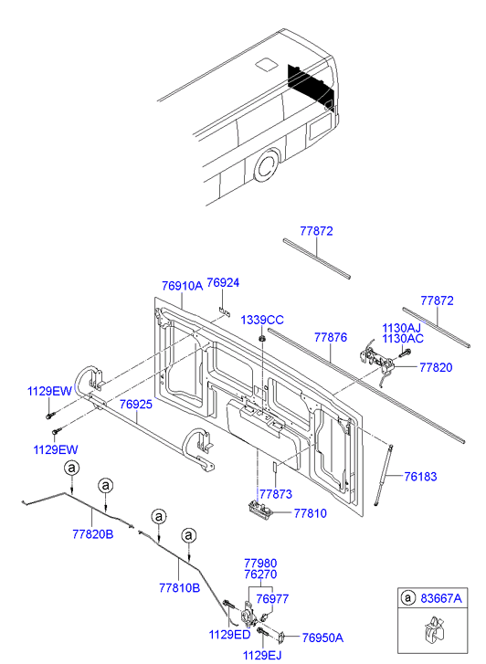 FENDER FLAP