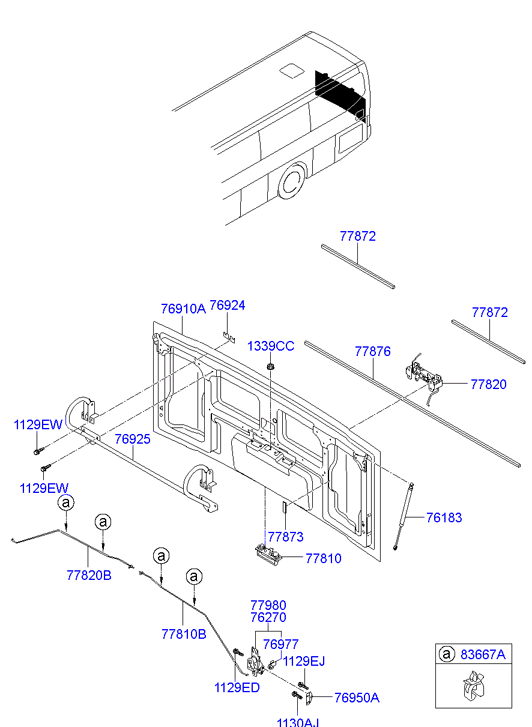 FENDER FLAP