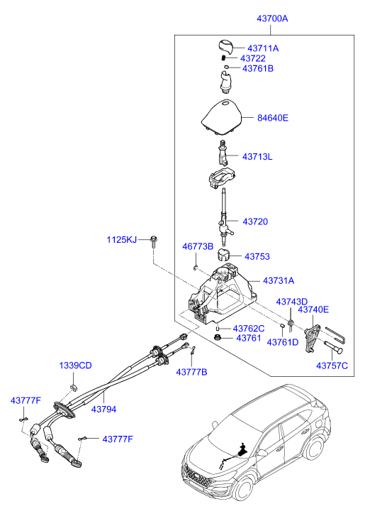 DRIVE SHAFT (REAR)