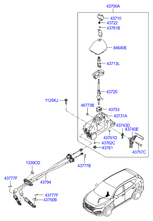 DRIVE SHAFT (REAR)