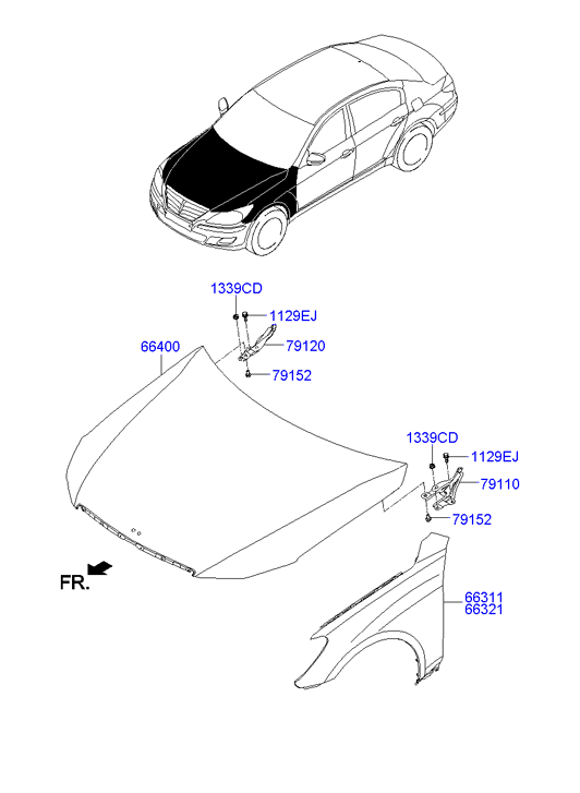 PANEL - REAR DOOR