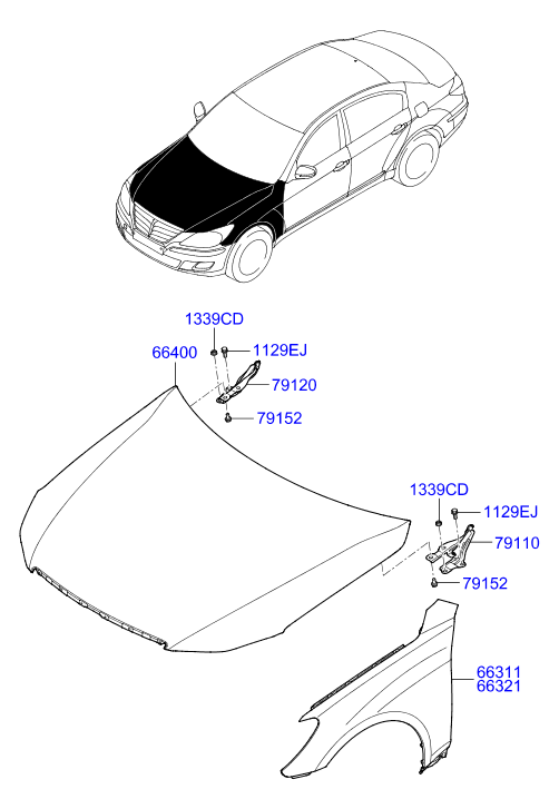 PANEL - REAR DOOR