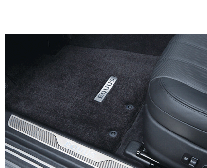 TRUNK MAT