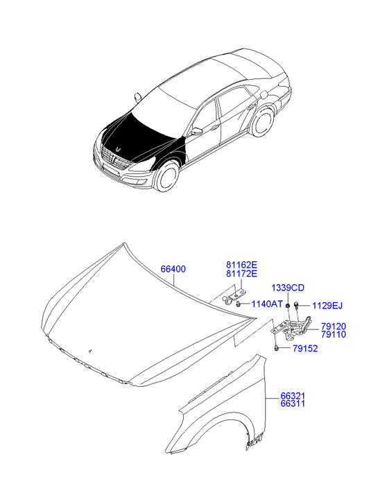 PANEL - REAR DOOR