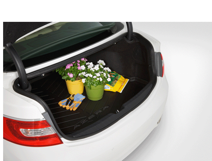 TRUNK TRAY