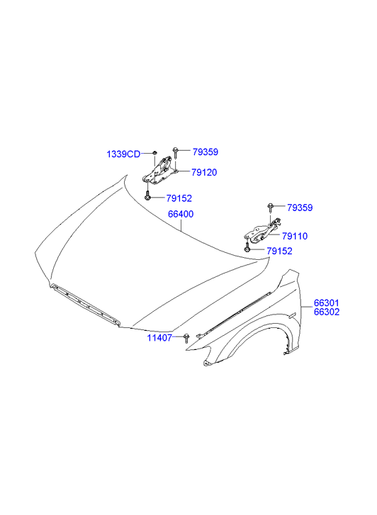 PANEL - REAR DOOR