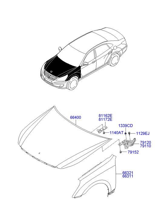 PANEL - REAR DOOR