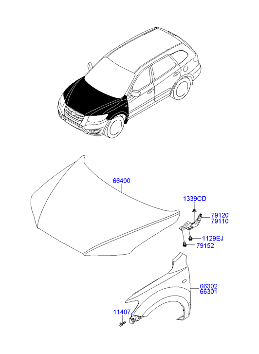 PANEL - REAR DOOR