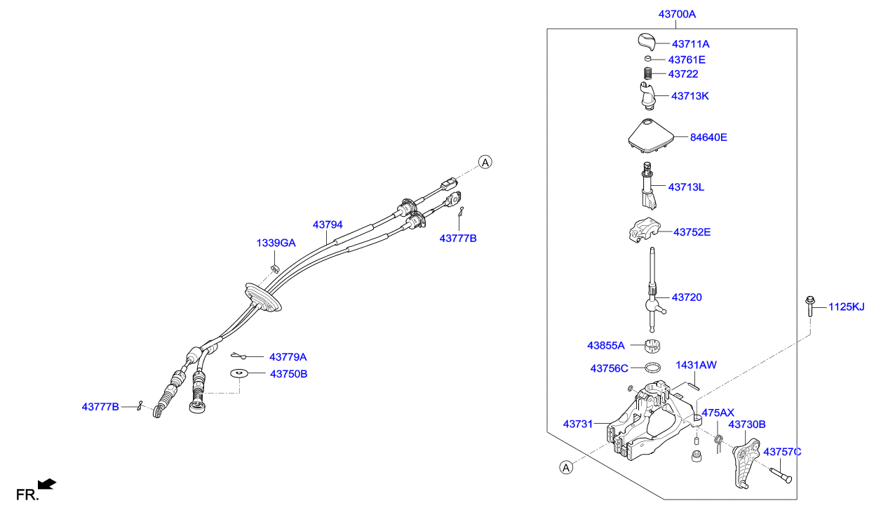 DRIVE SHAFT (REAR)