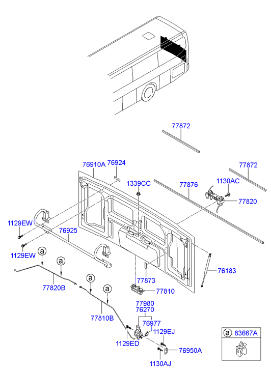 FENDER FLAP