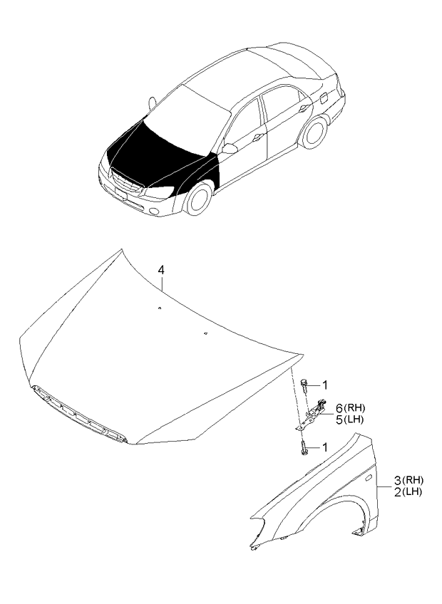 PANEL - REAR DOOR