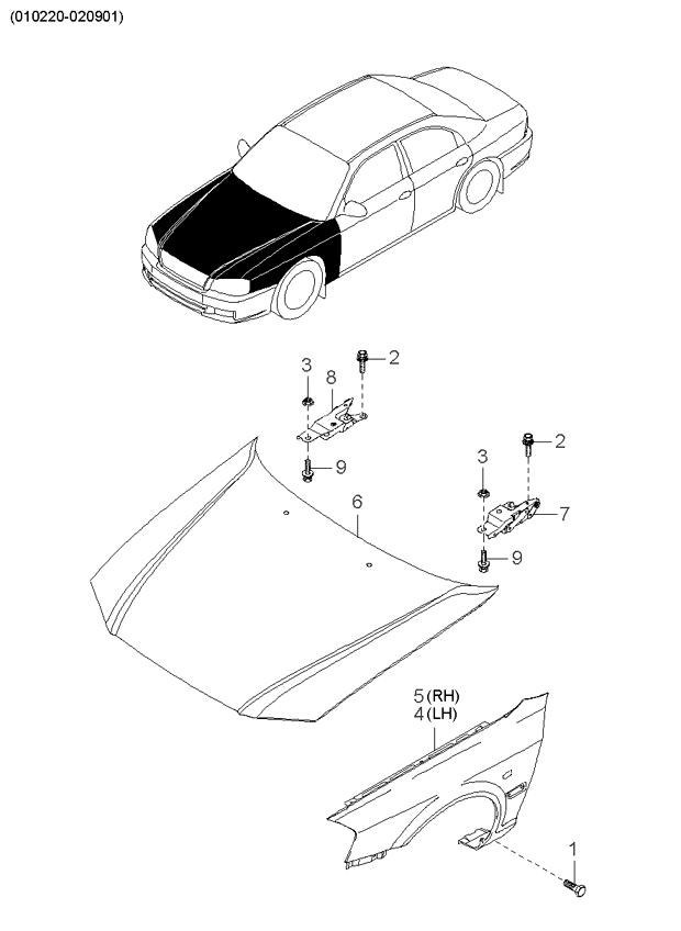 PANEL - REAR DOOR