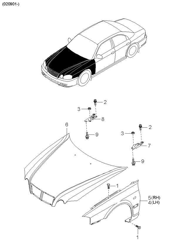 PANEL - REAR DOOR