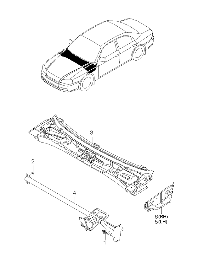 PANEL - REAR DOOR