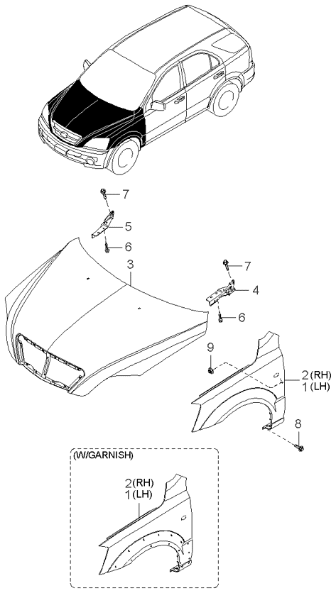 PANEL - REAR DOOR