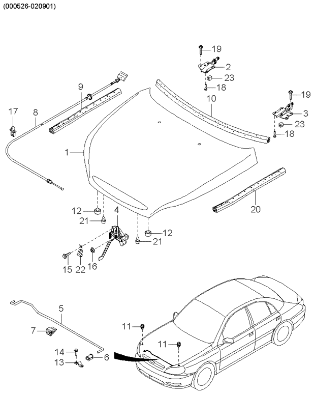 REAR DOORS (BODY)