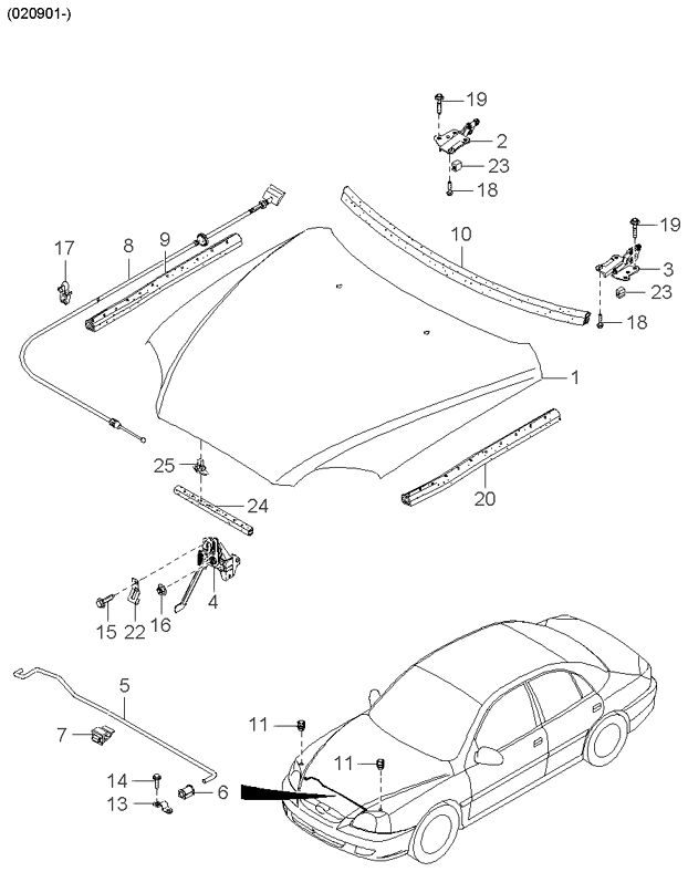 REAR DOORS (BODY)