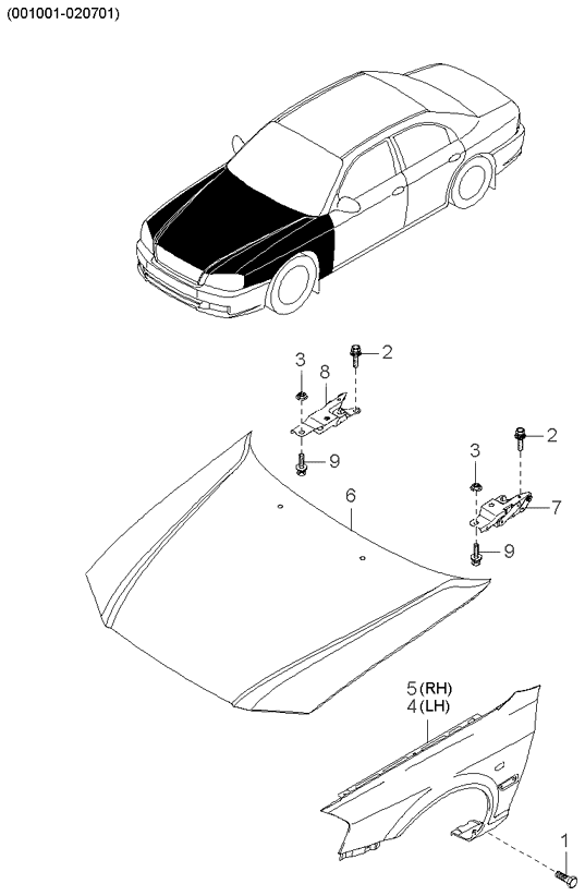 PANEL - REAR DOOR