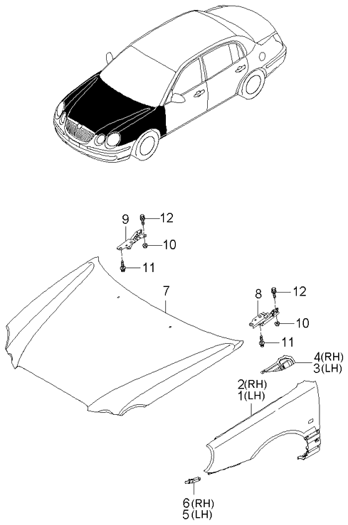 PANEL - REAR DOOR