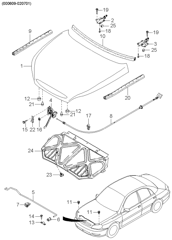 REAR DOORS (BODY)