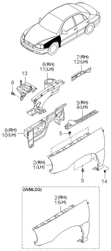 REAR DOORS (BODY)