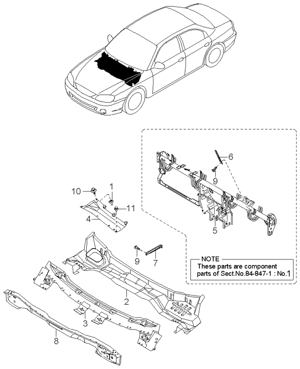 PANEL - REAR DOOR