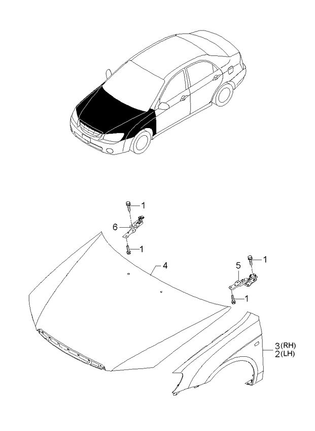 PANEL - REAR DOOR