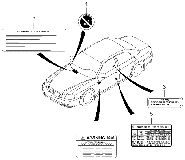 PANEL - REAR DOOR