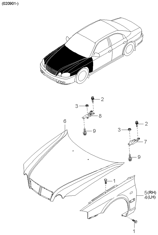 PANEL - REAR DOOR