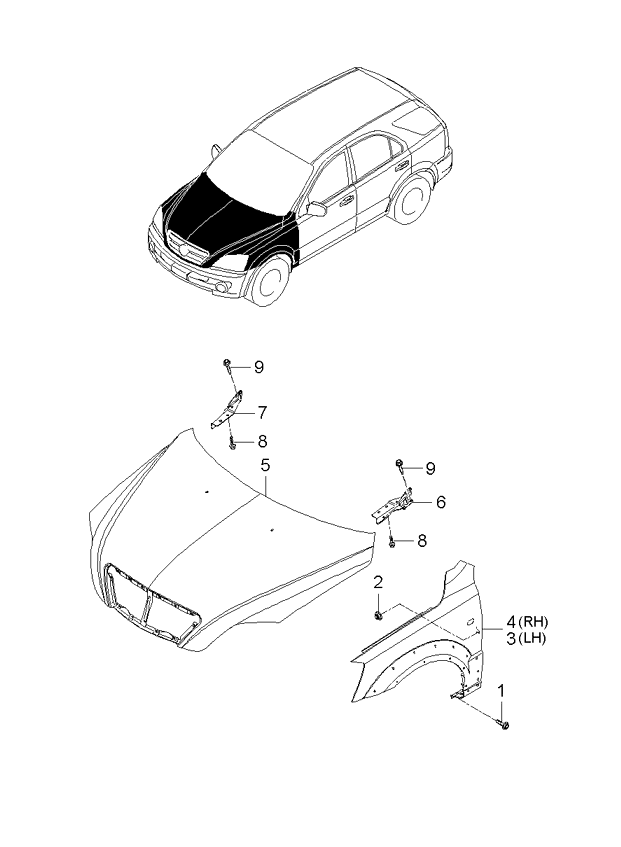 PANEL - REAR DOOR