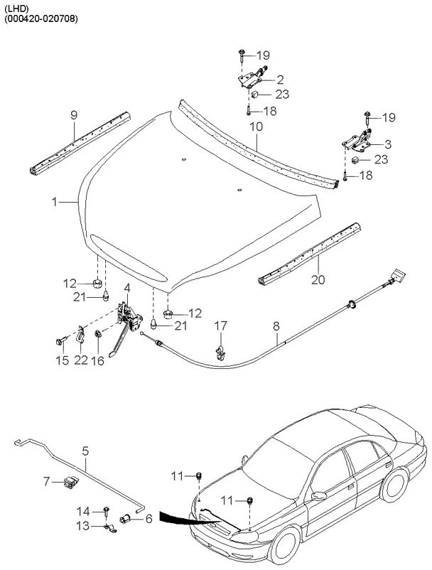 REAR DOORS (BODY)