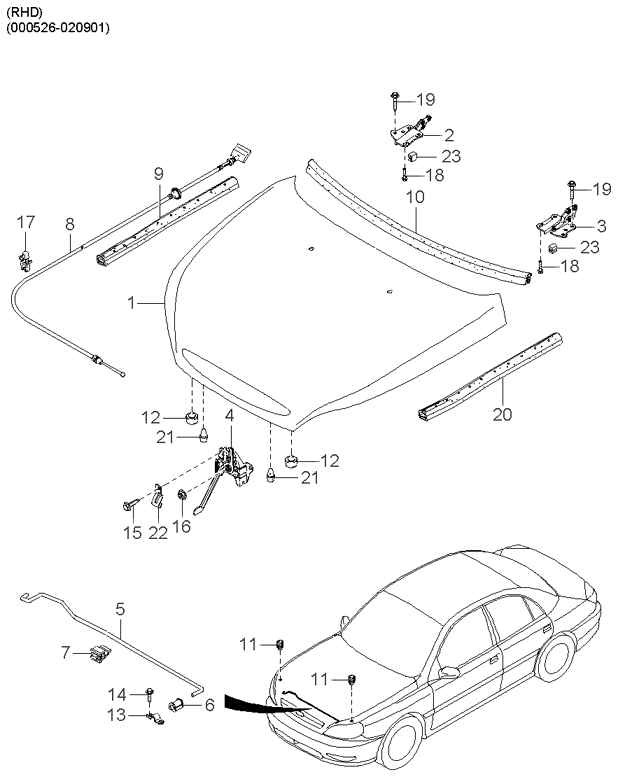 REAR DOORS (BODY)