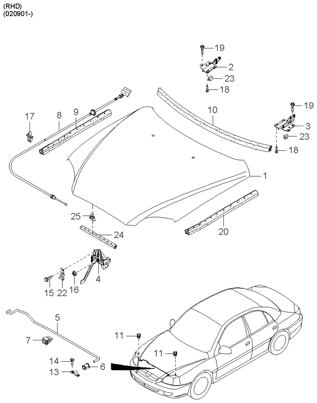 REAR DOORS (BODY)