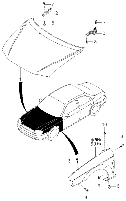 PANEL - REAR DOOR