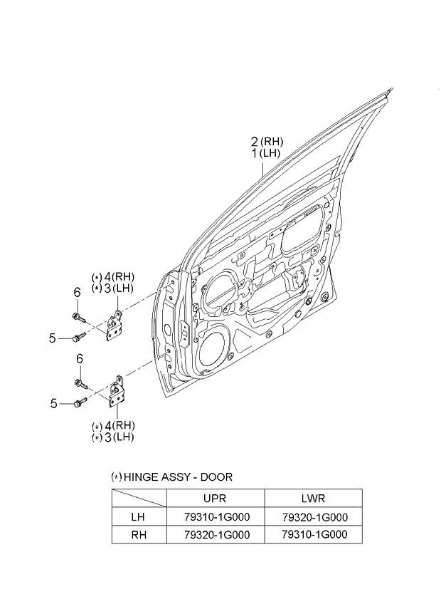 PANEL - REAR DOOR