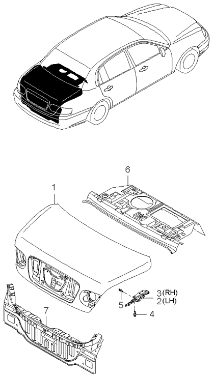 PANEL - REAR DOOR