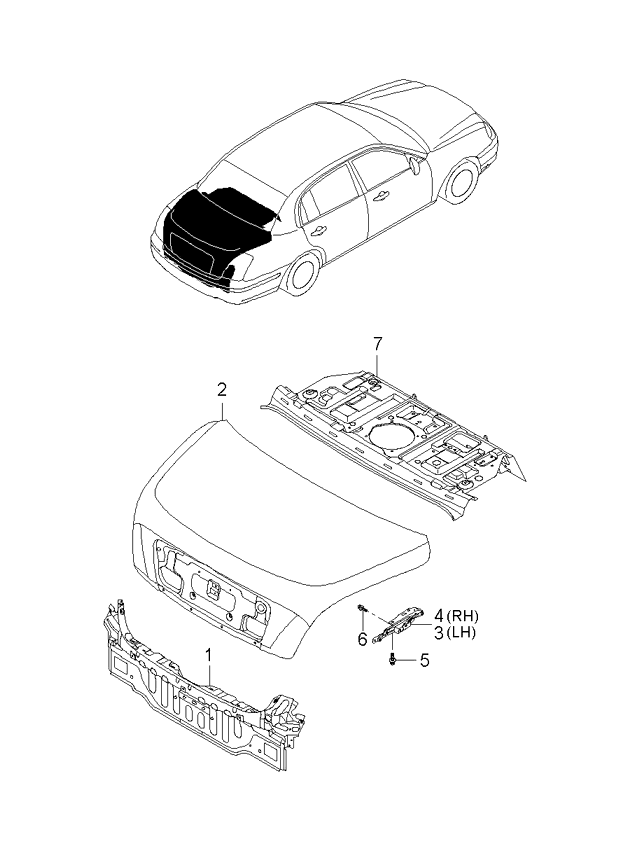 PANEL - REAR DOOR