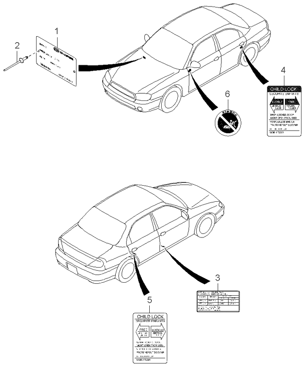 PANEL - REAR DOOR