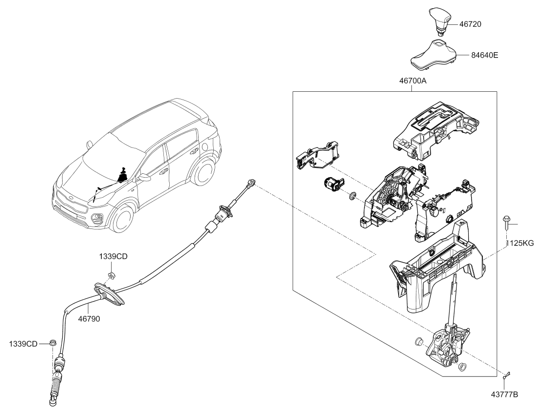 DRIVE SHAFT (REAR)