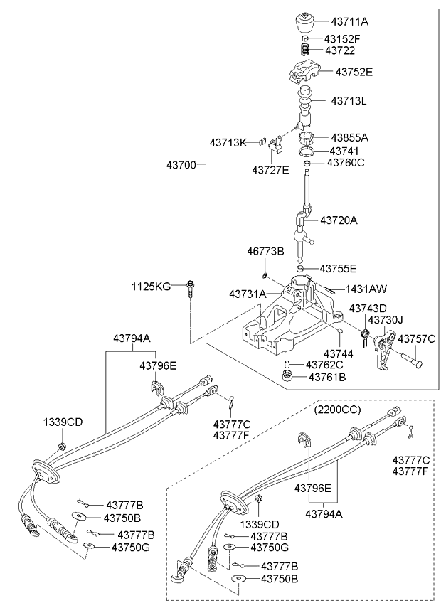 DRIVE SHAFT ASSY - REAR