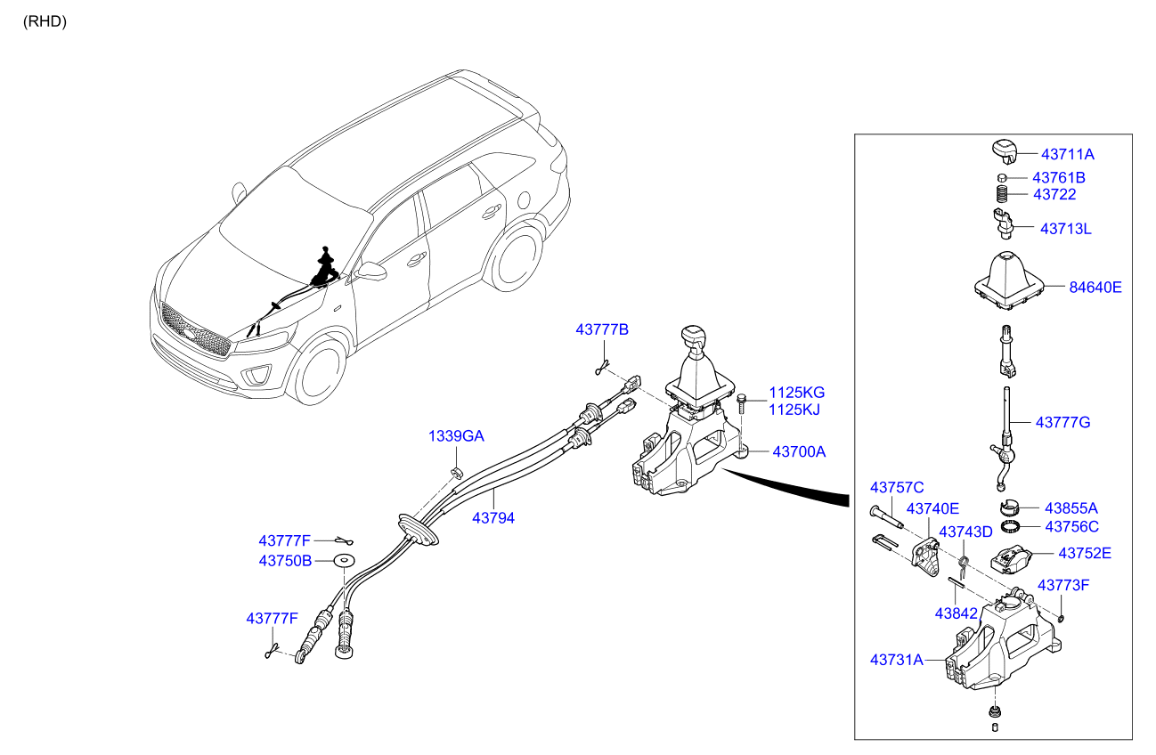 DRIVE SHAFT (REAR)