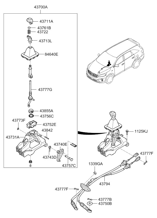 DRIVE SHAFT (REAR)