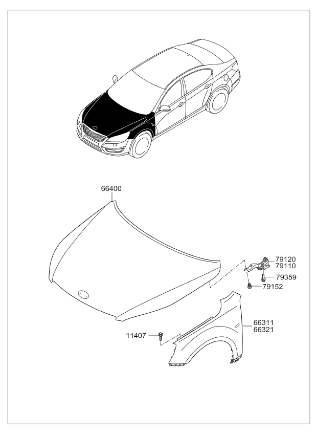 PANEL - REAR DOOR