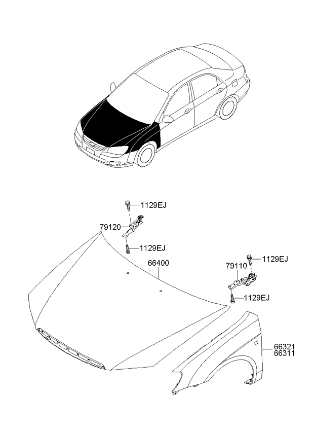 PANEL - REAR DOOR