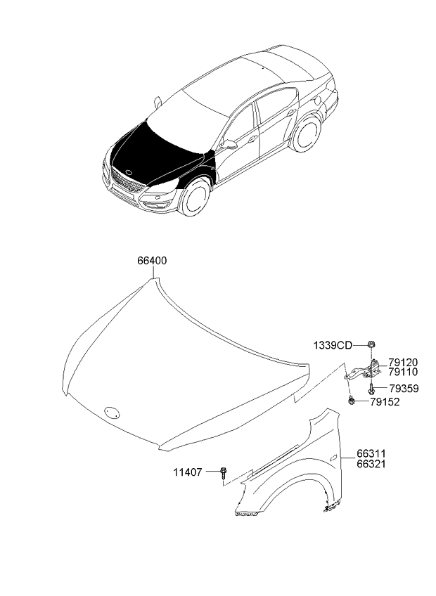 PANEL - REAR DOOR