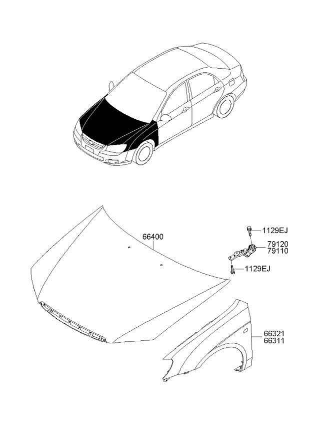 PANEL - REAR DOOR