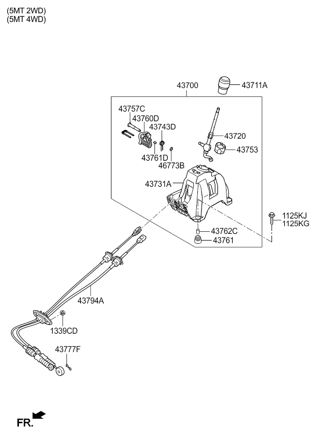 DRIVE SHAFT (REAR)