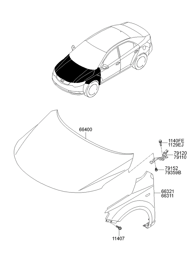 PANEL - REAR DOOR